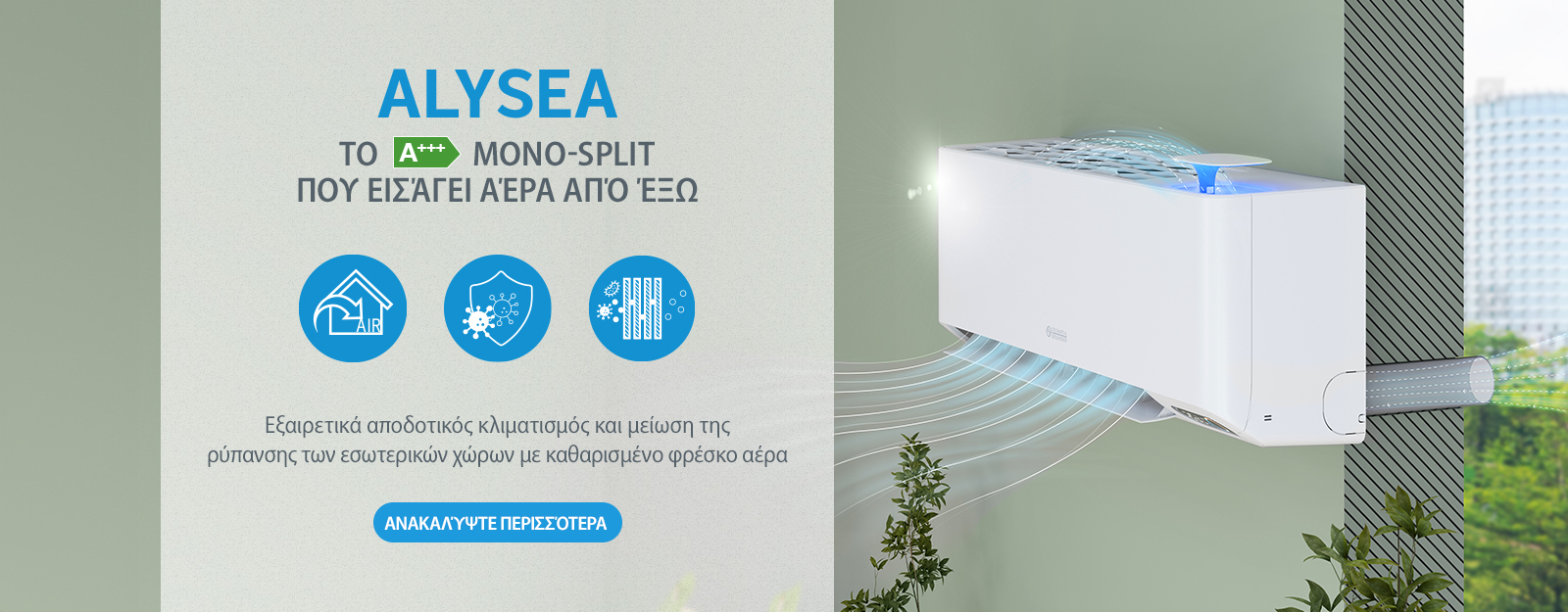 Alysea